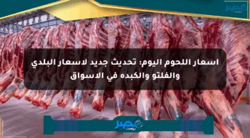 أسعار اللحوم اليوم: تحديث جديد لأسعار البلدي والفلتو والكبدة في الأسواق